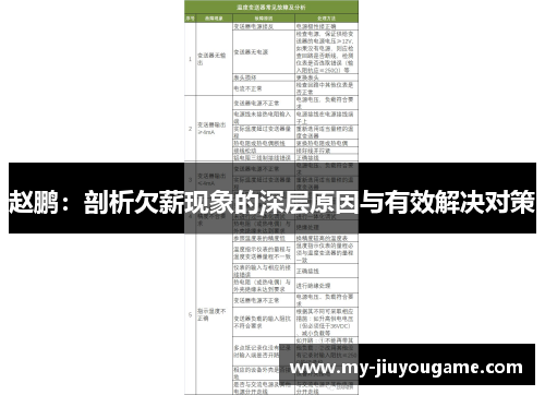 赵鹏：剖析欠薪现象的深层原因与有效解决对策