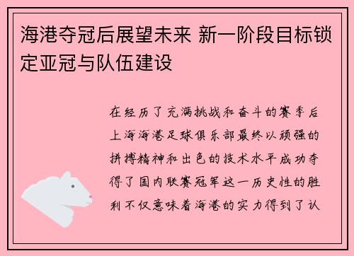 海港夺冠后展望未来 新一阶段目标锁定亚冠与队伍建设